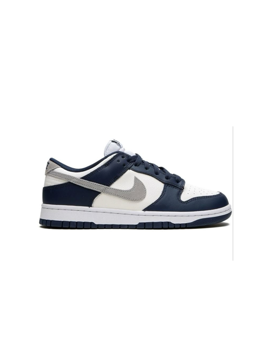 Navy and Grey Low-Top Performance Sneaker